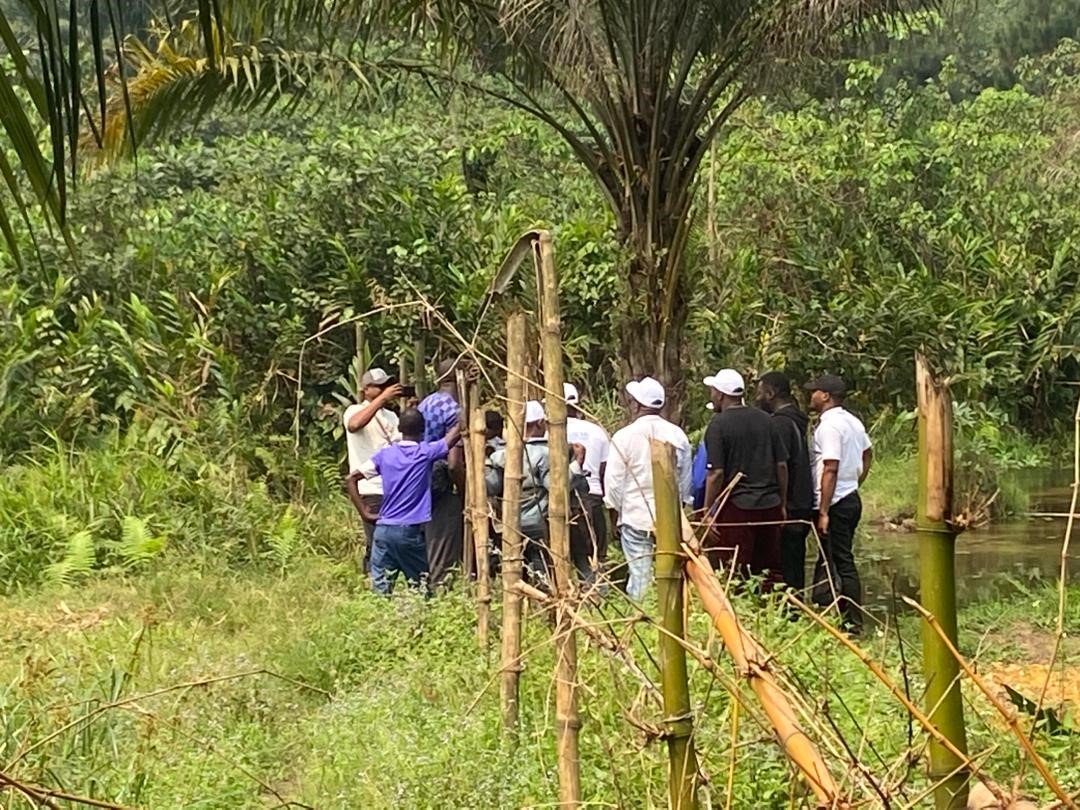 Développement agropastoral et alimentaire